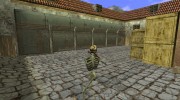 GSG9 > Combatant Skeleton para Counter Strike 1.6 miniatura 3