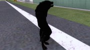 Werewolf for GTA San Andreas miniature 4