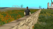 Dream Grass (Low PC) для GTA San Andreas миниатюра 4