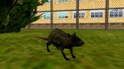 Крыса из S.T.A.L.K.E.R. v.1 для GTA San Andreas миниатюра 1