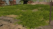 Dream Grass (Low PC) для GTA San Andreas миниатюра 6