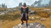 Man of Steel Suit для TES V: Skyrim миниатюра 1