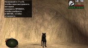 Черный кот из S.T.A.L.K.E.R для GTA San Andreas миниатюра 2