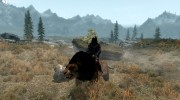 Summon Big Cats Mounts and Followers 2.2 for TES V: Skyrim miniature 8