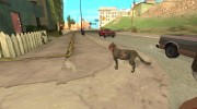 Animals in Los Santos para GTA San Andreas miniatura 1