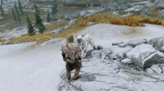 heljarchen Wolf Pet Cerberos для TES V: Skyrim миниатюра 2