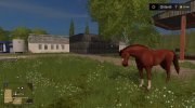 Фортуна для Farming Simulator 2017 миниатюра 15