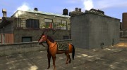 Лошадь for GTA 4 miniature 2