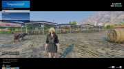 TemperatureV 1.0.2 for GTA 5 miniature 1