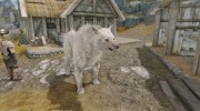 Feralis - Dire Wolf Mount для TES V: Skyrim миниатюра 2