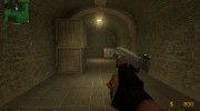 Reborn USP on KingFriday Anims (FIXED SOUNDS) for Counter-Strike Source miniature 3