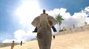 Слон v1.0 для GTA San Andreas миниатюра 5