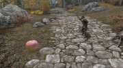 Food Arrows and Spells for TES V: Skyrim miniature 3