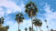 GTA V Palm Trees V.1 для GTA San Andreas миниатюра 3