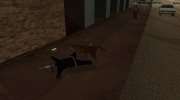 Тигр para GTA San Andreas miniatura 8