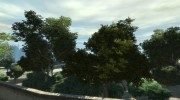 Красивая Растительность для GTA 4 миниатюра 1