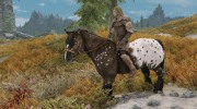 Domino the Warhorse для TES V: Skyrim миниатюра 3