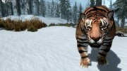 Summon Big Cats Mounts and Followers 2.2 para TES V: Skyrim miniatura 21