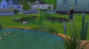 Buyable Ponds for Sims 4 miniature 3