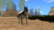 Пёс for GTA San Andreas miniature 4