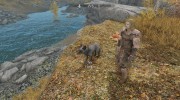 Summon Forest Mounts and Followers for TES V: Skyrim miniature 3