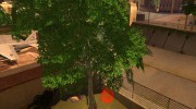 Яблоня para GTA San Andreas miniatura 1