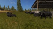 Черные быки для Farming Simulator 2017 миниатюра 2
