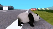 Panda Bear для GTA San Andreas миниатюра 4