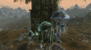 Дом в дереве для TES V: Skyrim миниатюра 6