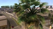 GTA V Palm Trees V.1 для GTA San Andreas миниатюра 5