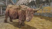 Cows give you Milk and Brew your own Mead для TES V: Skyrim миниатюра 1