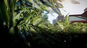 Vegetation Textures by BisonSales	   для GTA 4 миниатюра 7