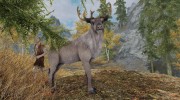 Summon Forest Mounts and Followers for TES V: Skyrim miniature 1