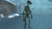 Beast Skeletons для TES V: Skyrim миниатюра 3