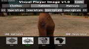 Visual Player Image v1.0 для GTA San Andreas миниатюра 6