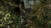 Убежище у Ривервуда для TES V: Skyrim миниатюра 2