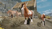 Foals of Skyrim для TES V: Skyrim миниатюра 2