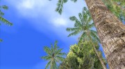 Пальмы из Crysis para GTA San Andreas miniatura 2