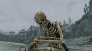 Beast Skeletons для TES V: Skyrim миниатюра 1