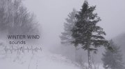 Winter Wind Sounds (BETA) для GTA San Andreas миниатюра 1