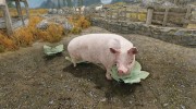 Summon Farm Animals - Mounts and Followers para TES V: Skyrim miniatura 1