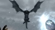 Intense Dragon Fight 1.0 for TES V: Skyrim miniature 7