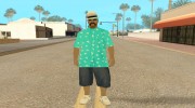 Sfr1 Hawai by ALL для GTA San Andreas миниатюра 1