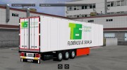 TFS Standalone Schmitz Trailer para Euro Truck Simulator 2 miniatura 1