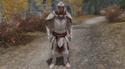 Elven Dragonbone Light Armor Set for TES V: Skyrim miniature 2
