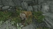 Summon Big Cats Mounts and Followers for TES V: Skyrim miniature 12