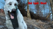 Белая собака «Призрак» для Fallout 4 миниатюра 4