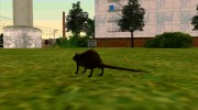 Крыса из S.T.A.L.K.E.R. v.2 for GTA San Andreas miniature 3