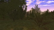 Beautiful Vegatation And Behind Space Of Realities para GTA San Andreas miniatura 24