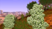 Project Oblivion 2010 Sunny Summer for GTA San Andreas miniature 2